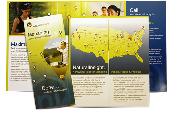 Natural Insight marketing brochure